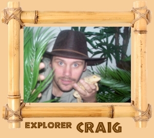 Explorer Craig - Creepy Crawly Show presenter