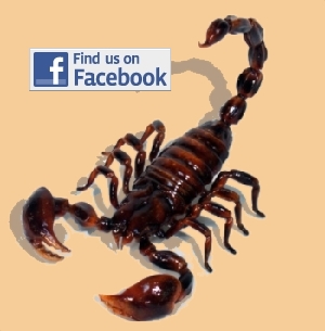 Follow the Creepy Crawly Show on Facebook